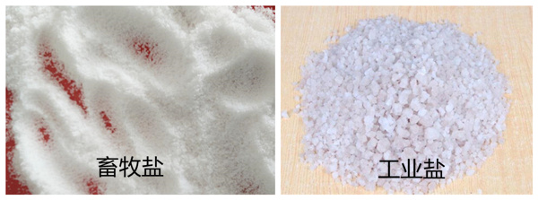 畜牧鹽與工業鹽的區別